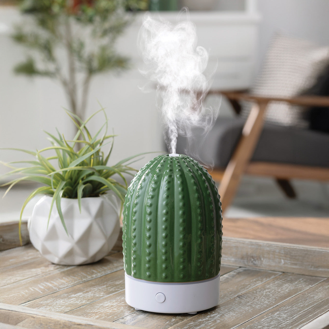 Cactus USB Ultrasonic Diffuser