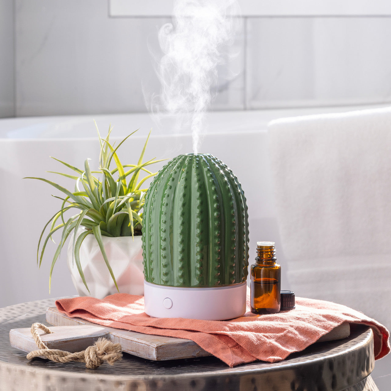 Cactus USB Ultrasonic Diffuser