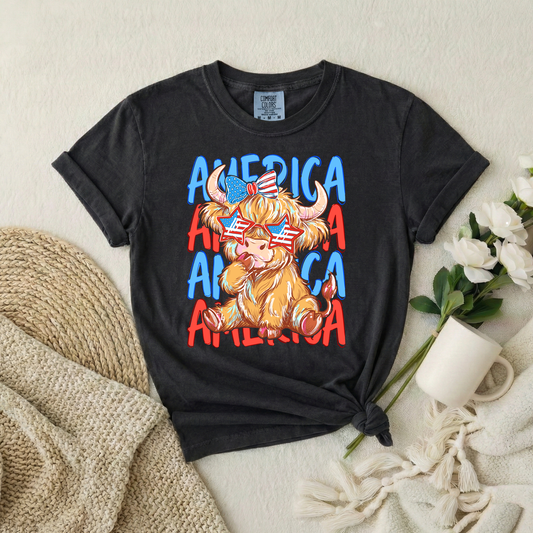 America